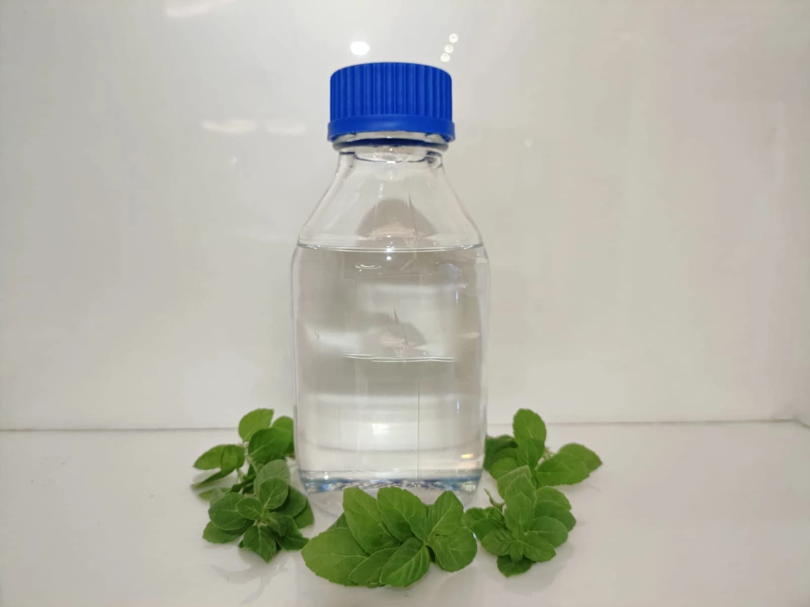 Neo menthol