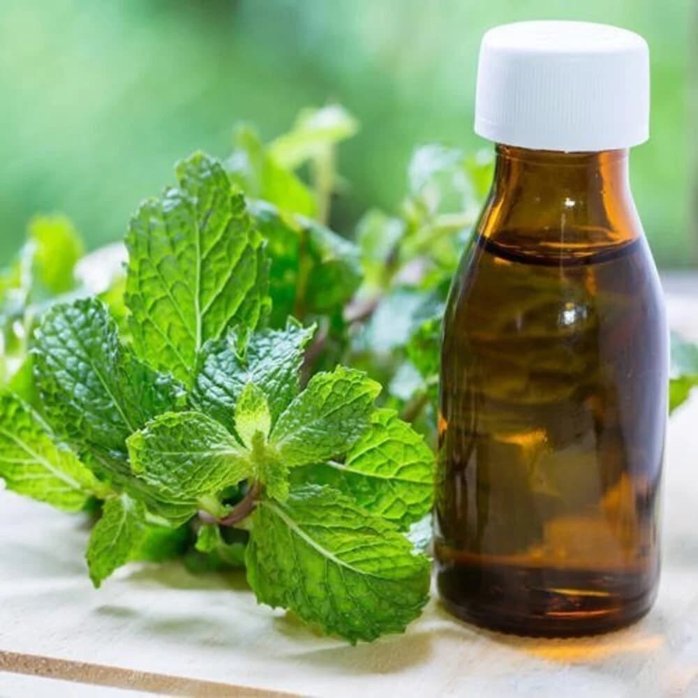 Mint terpene